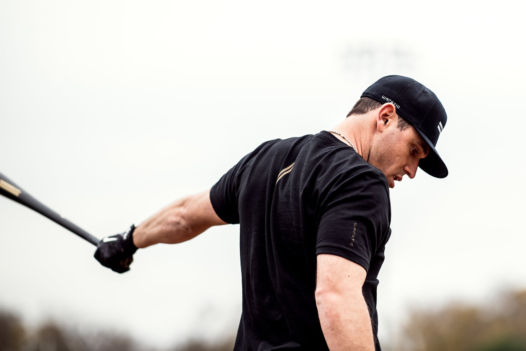 The Ian Kinsler Collection