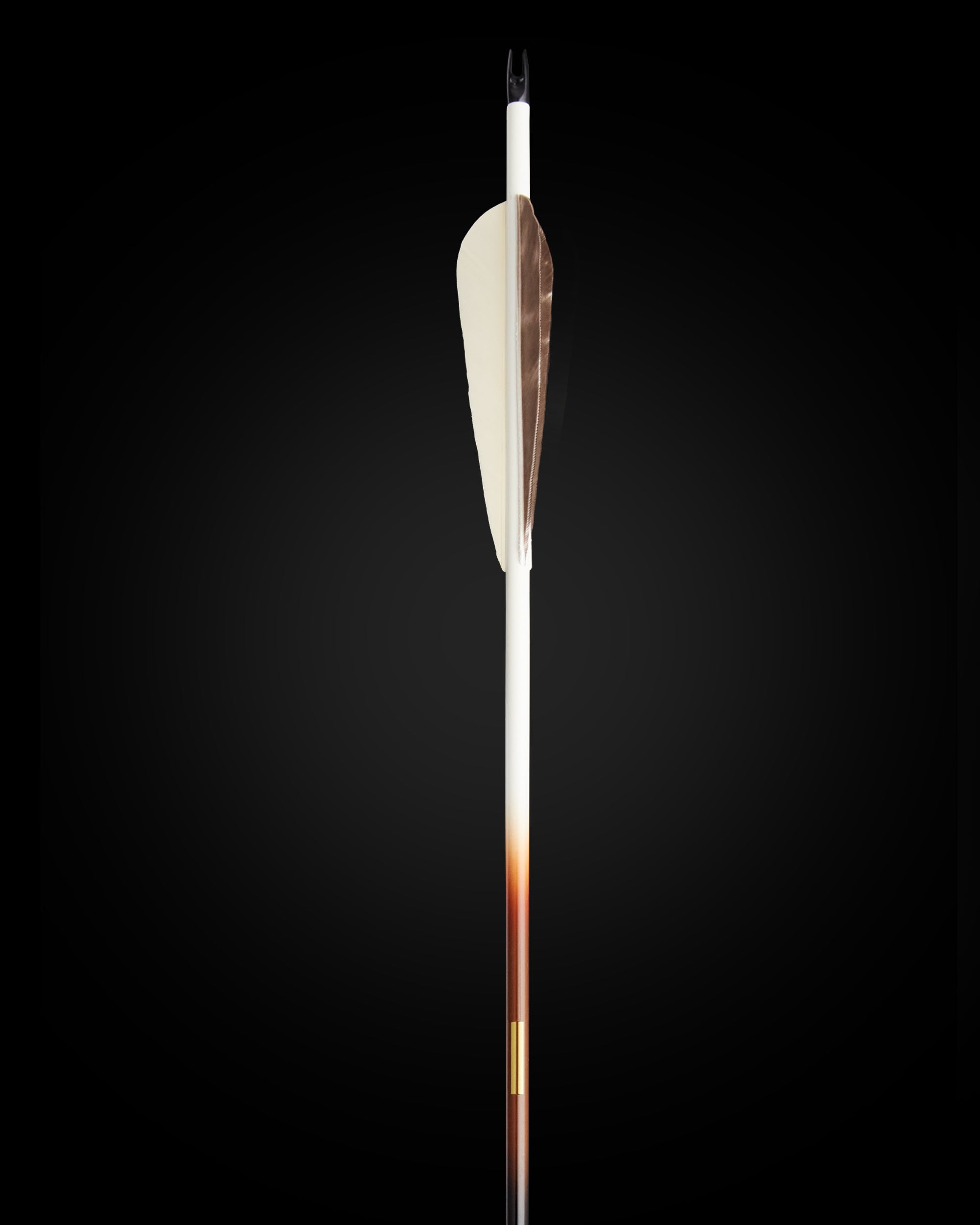 LTD EDITION CLEARSHOT CARBON ARROW