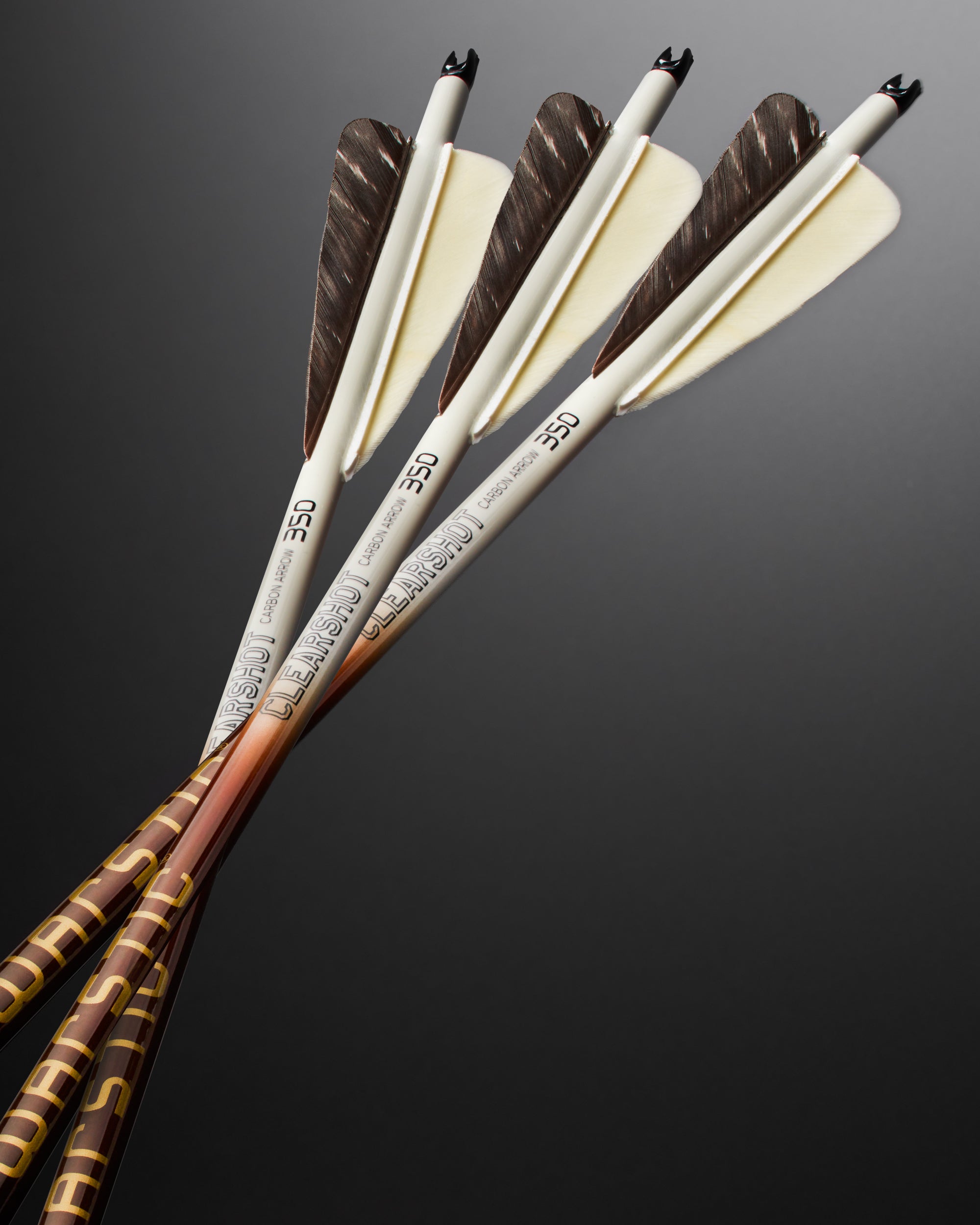 LTD EDITION CLEARSHOT CARBON ARROW