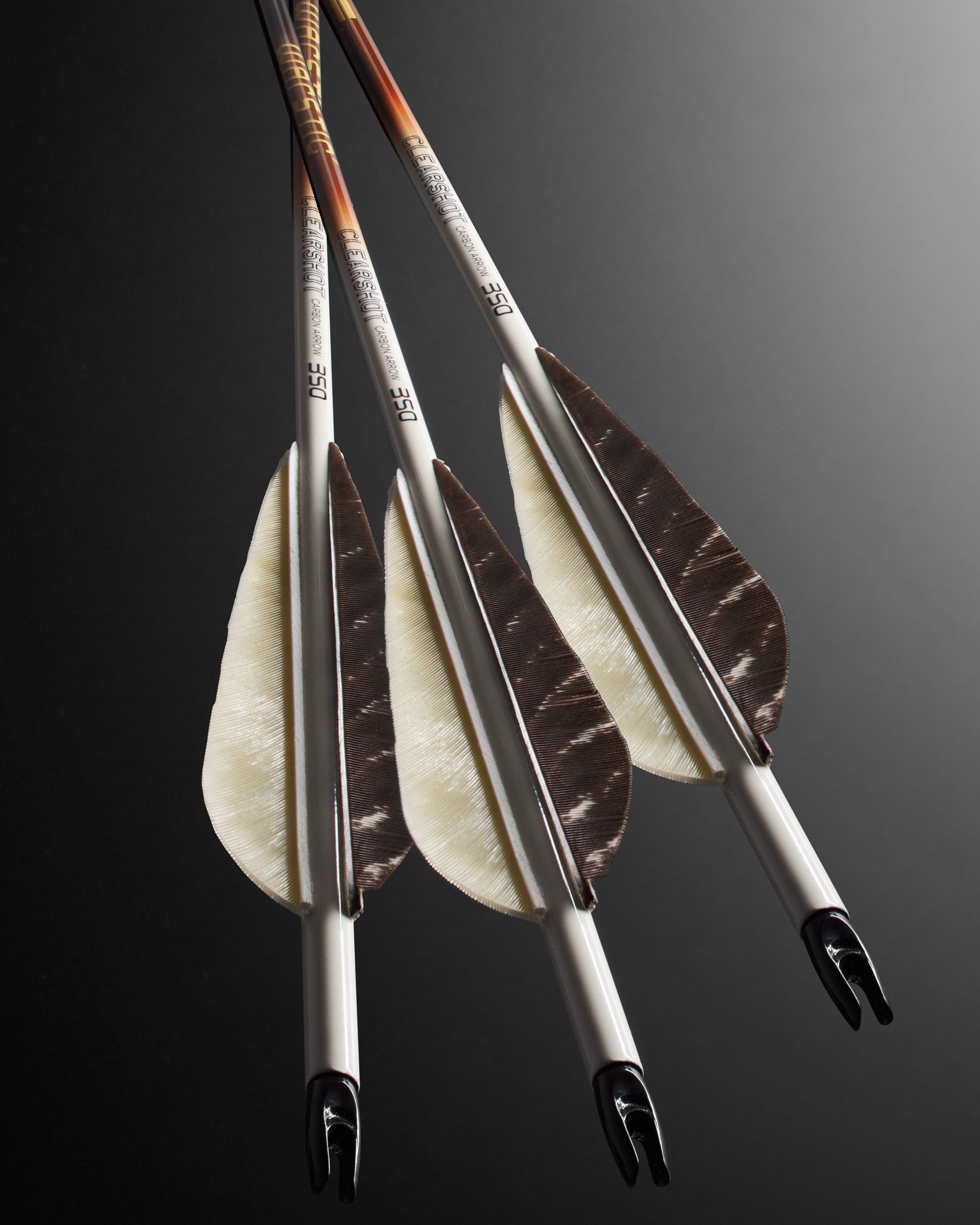 LTD EDITION CLEARSHOT CARBON ARROW