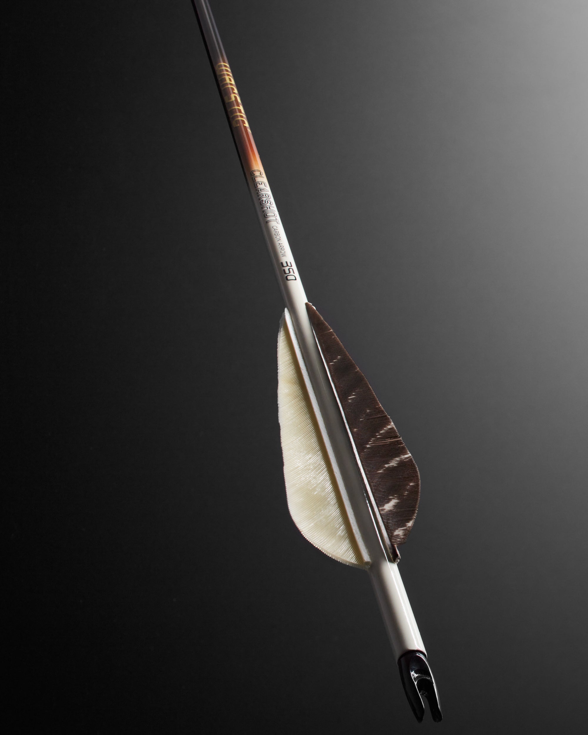 LTD EDITION CLEARSHOT CARBON ARROW
