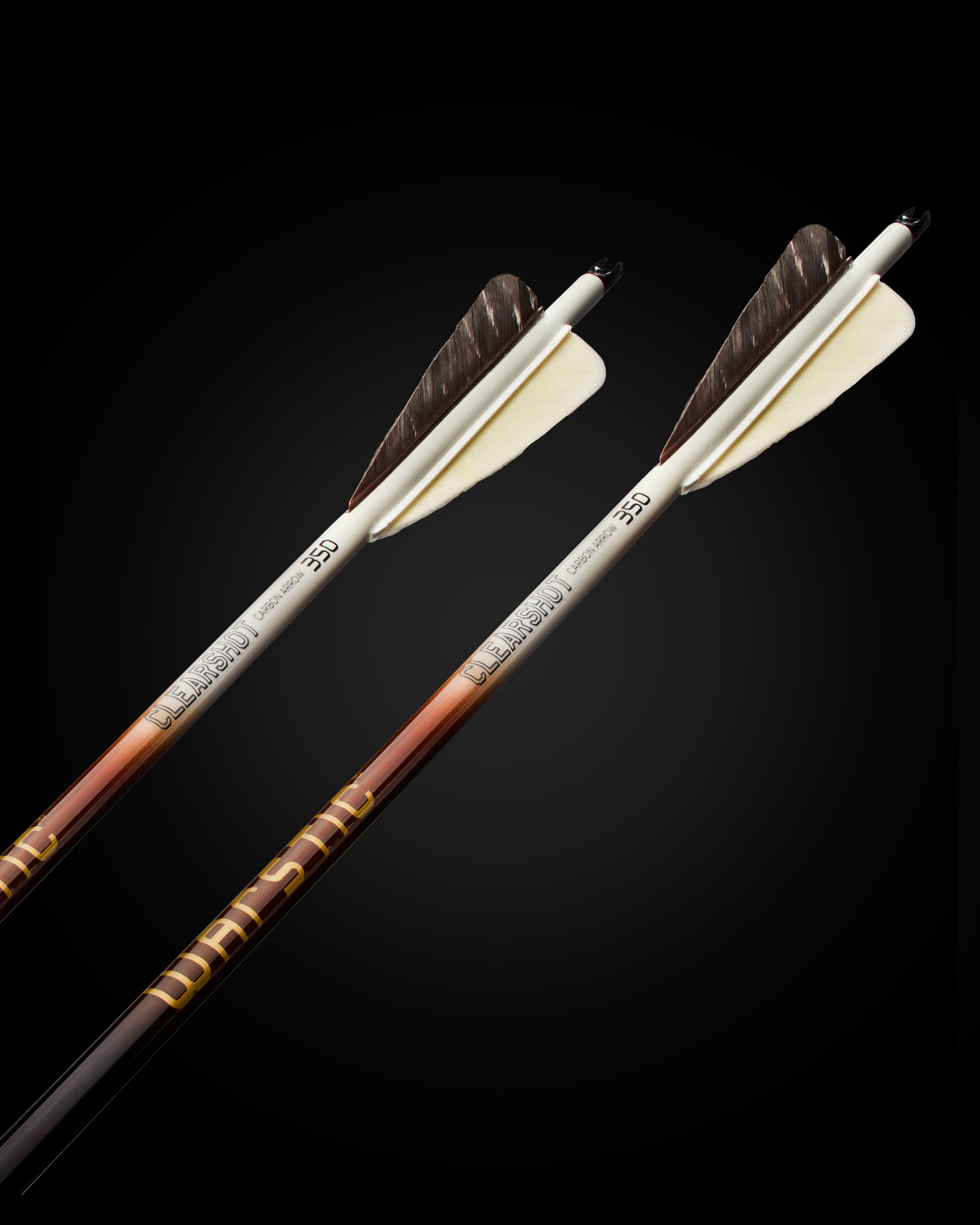 LTD EDITION CLEARSHOT CARBON ARROW