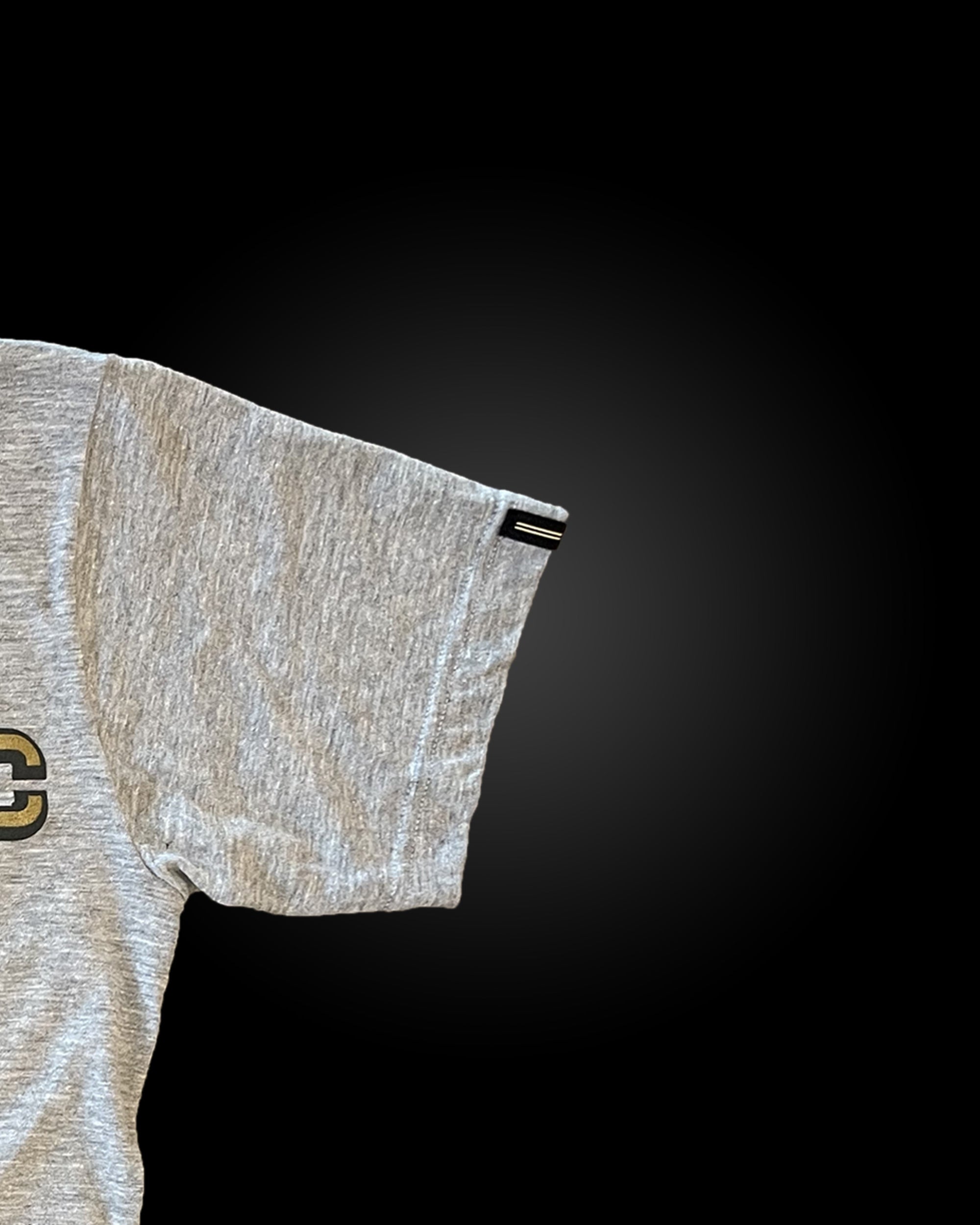 WARSTIC LOGO TEE (GRAY)