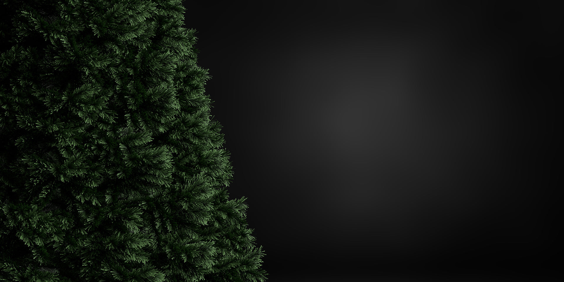 BASEBALL HOLIDAY COLLECTION 2024