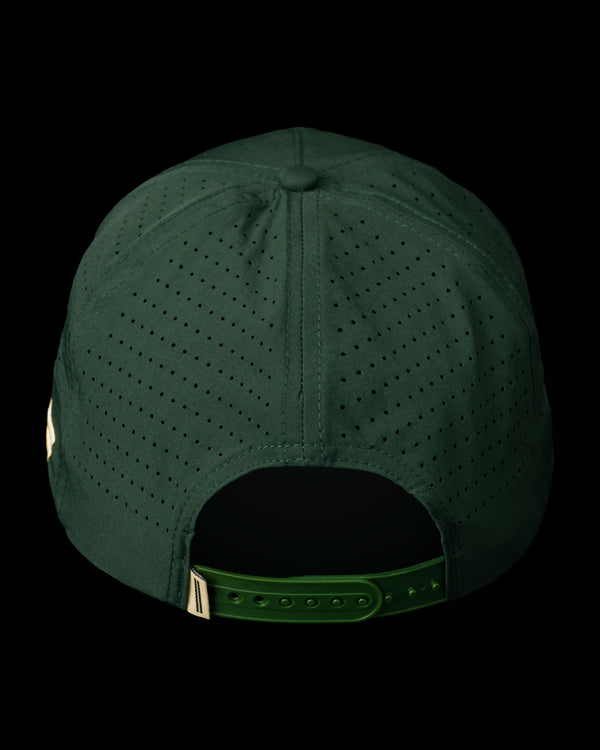 WARSTIC CHEVRON LIGHTWEIGHT SNAPBACK (FOREST)
