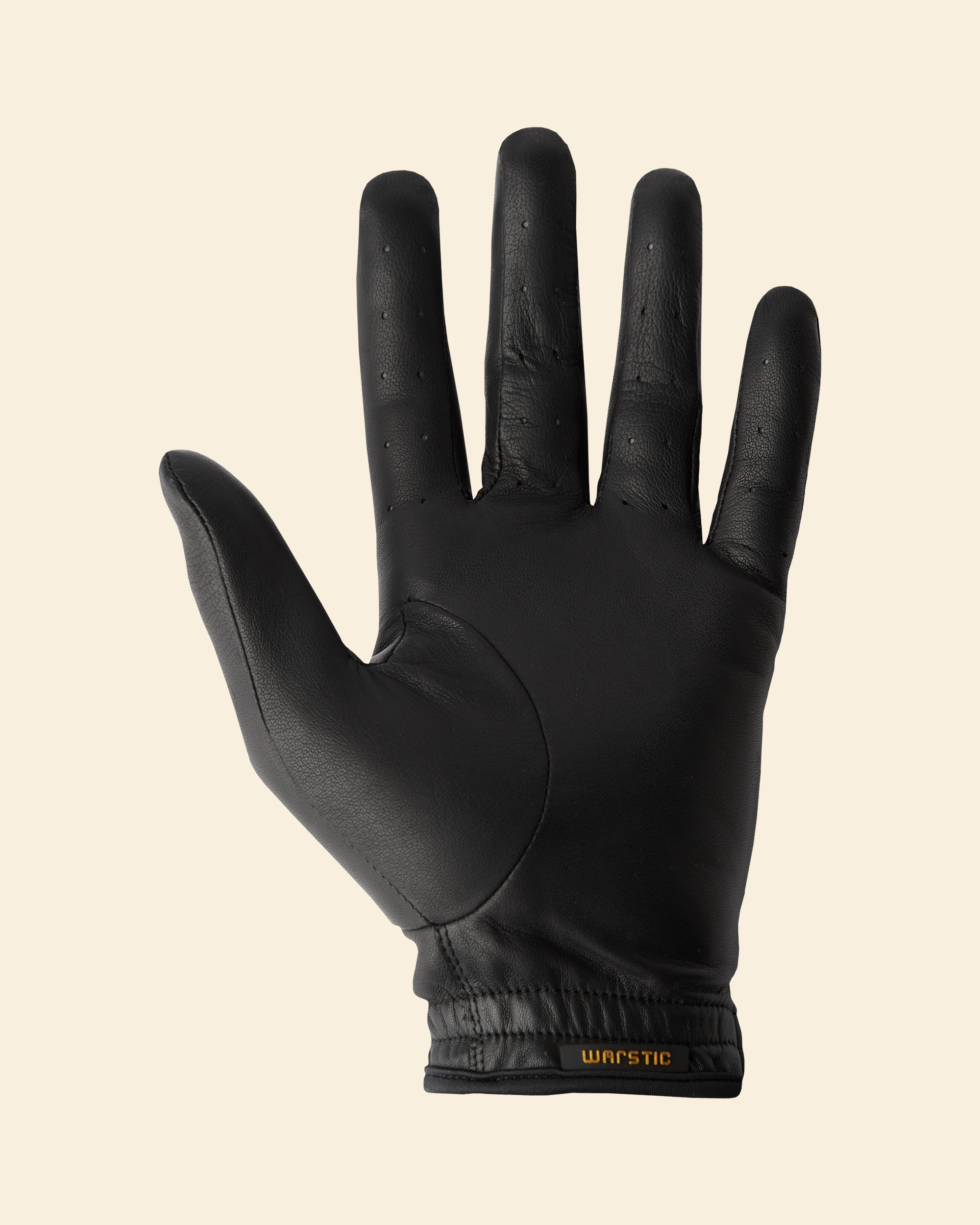 WARSTIC CABRETTA GOLF GLOVE [BLACK]