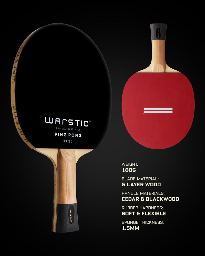 WSTT3 | Ping Pong Paddle | Scarlet in Slide 4