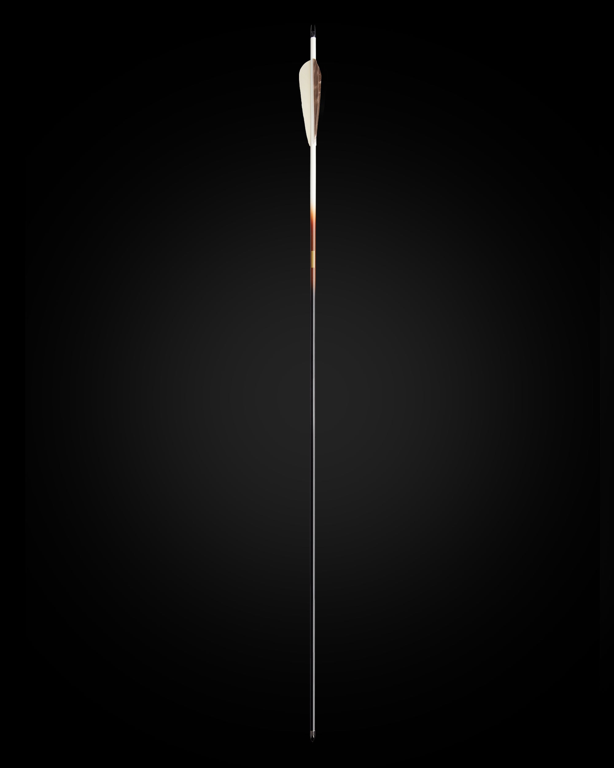 LTD EDITION CLEARSHOT CARBON ARROW