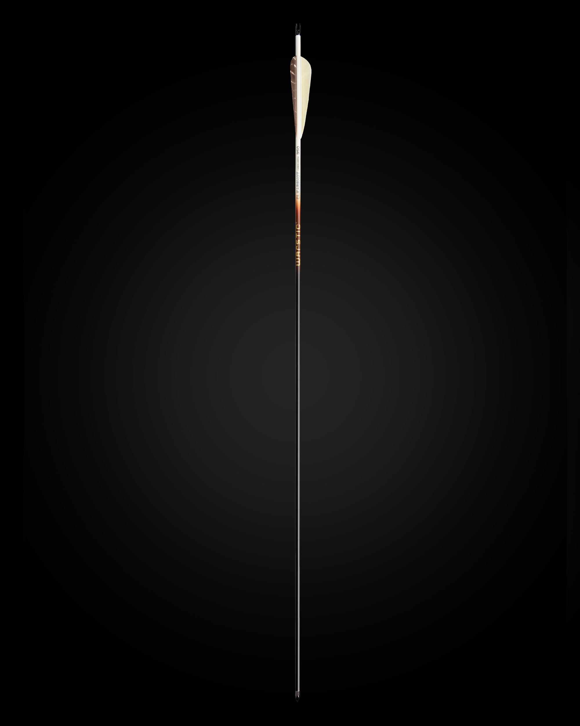 LTD EDITION CLEARSHOT CARBON ARROW