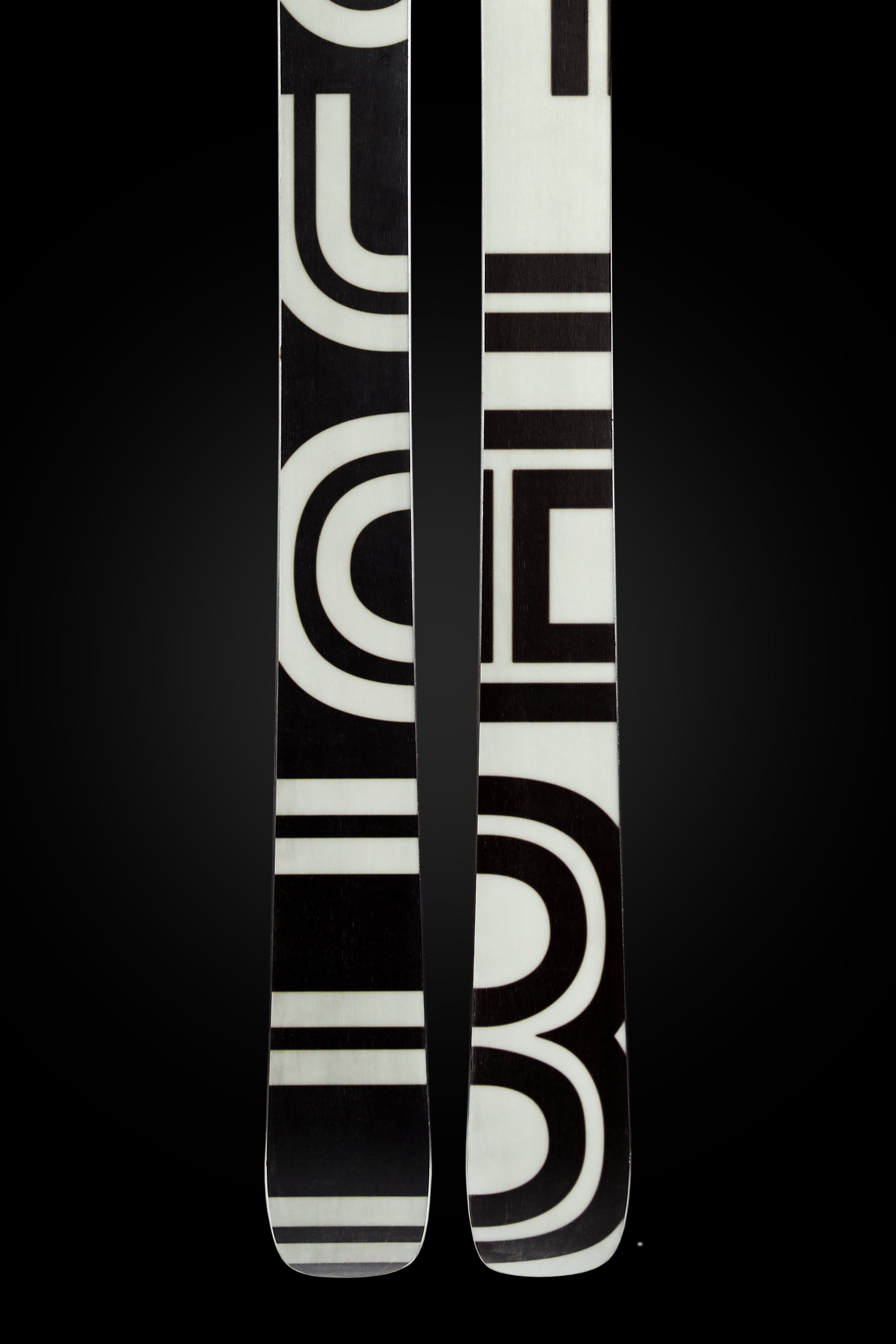 THE TREADSMITH SKIS