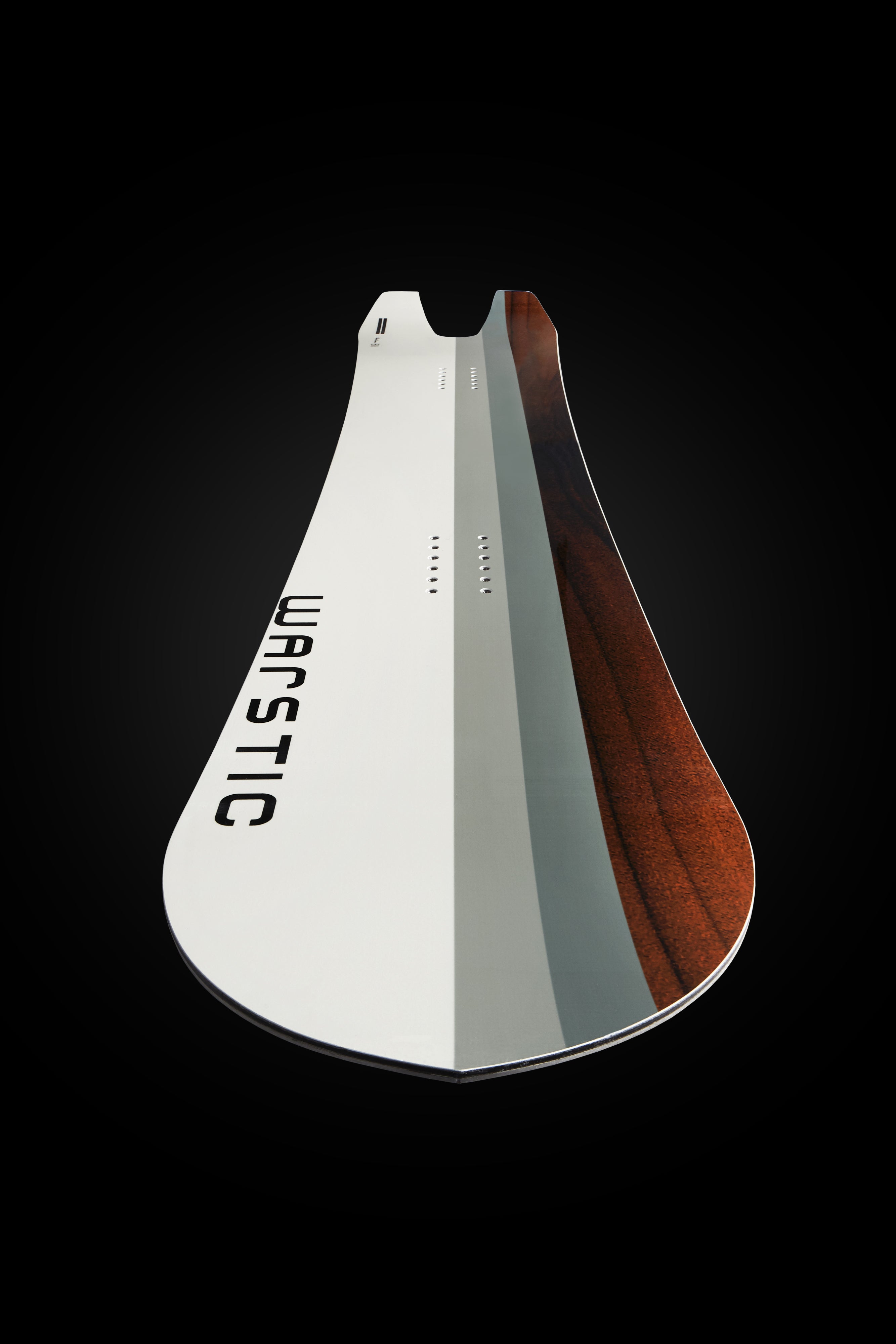 THE CARVER SNOWBOARD