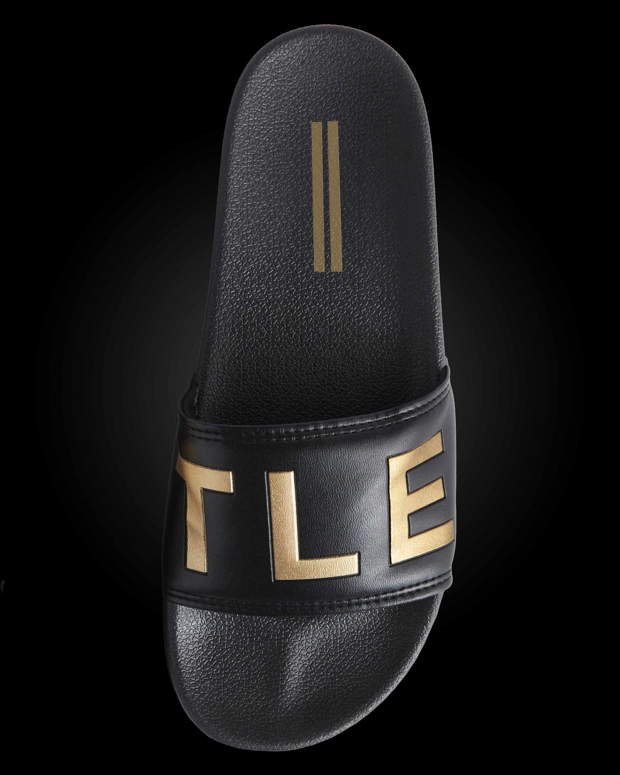 BATTLE SLIDES